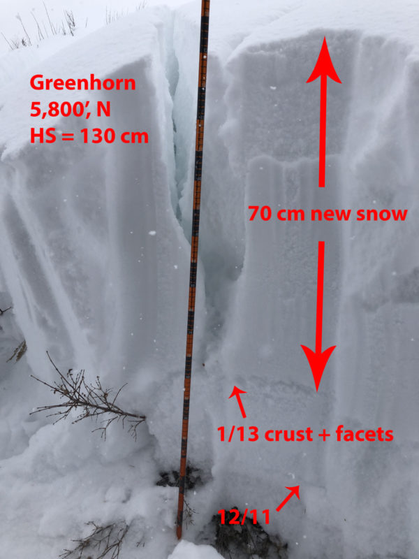 Storm snow accumulations have settled to 70 cm (28 in) in this low elevation location. This slope cracked and shifted downhill after a collapse I triggered from at least 150' away. 