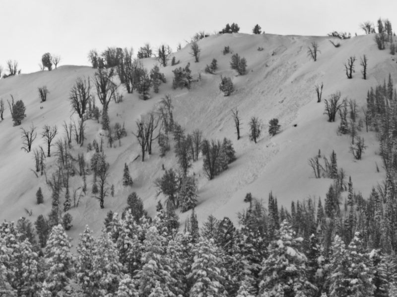 Large persistent slab avalanche in Anderson Creek north of Baker Creek. E-facing slope at 9600'.