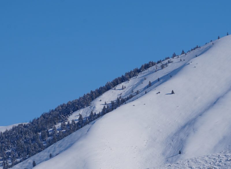 Slab avalanches on NW aspects near 7500' in the Ohio Gulch drainage (Mount Fuji). 