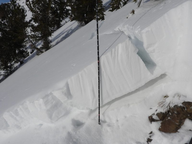 Crown of large natural avalanche in upper Gladiator Creek.