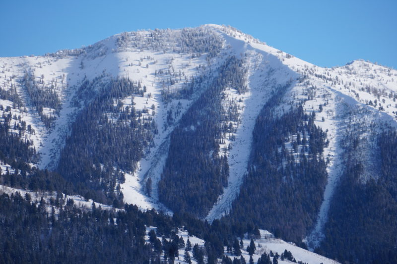 These persistent slab avalanches released naturally on Horton Peak on NW aspects from 9400-9800'. 