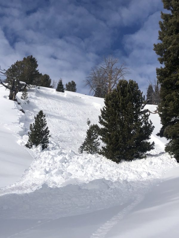 Avalanche on Galena Summit that was triggered remotely from 250' away on Saturday. The avalanche broke over 2' deep in mid-elevation terrain.
