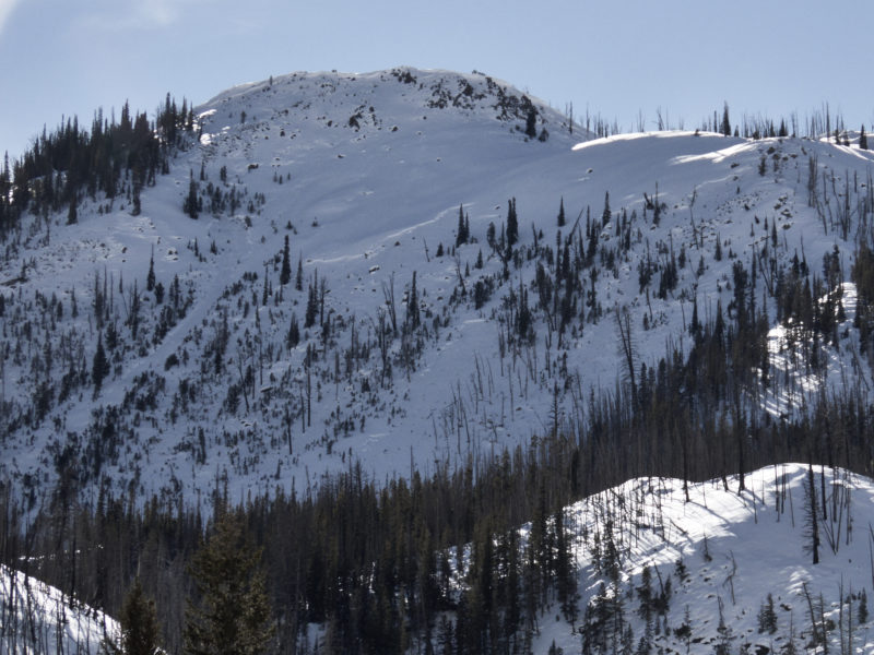 Slab avalanche that failed during our last storm near the 4th of July Creek Drainage in the White Clouds. 