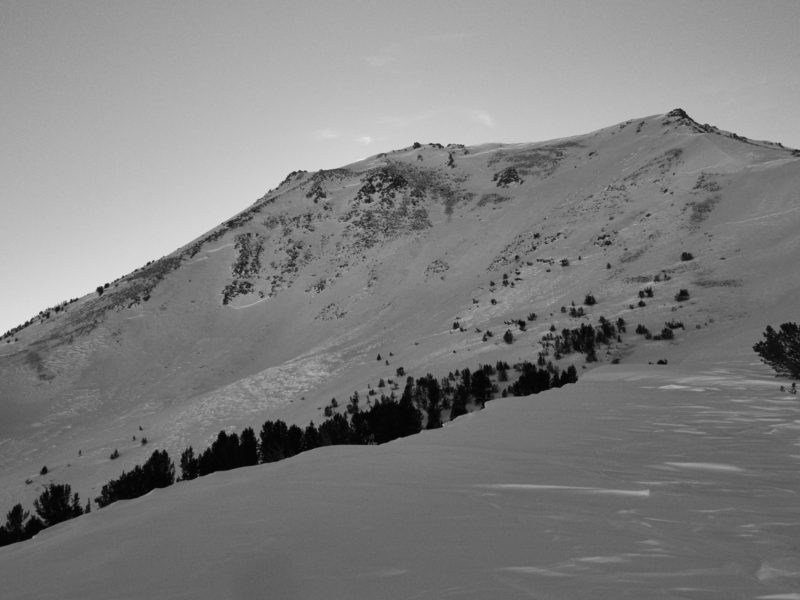 Slab avalanches that failed during our last storm near the 4th of July Creek Drainage in the White Clouds. 
