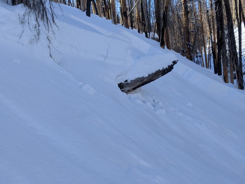 This small avalanche was remotely triggered from above. It broke nearly 100' wide on the layer of facets that was buried in December. This is a great example of a terrain trap. Though small, the consequences of being caught in a slide in this type of terrain can be high.