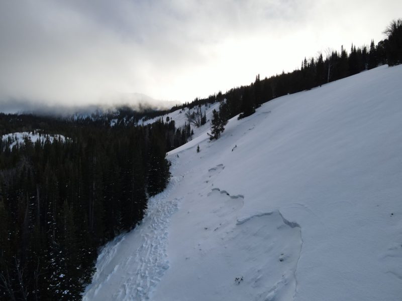 Series of persistent slab avalanches on east-facing terrain in Little Beaver drainage.