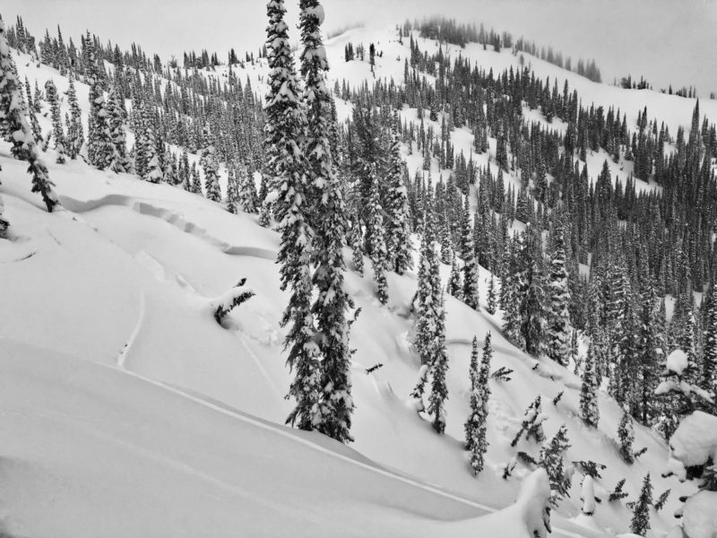 This avalanche failed 2' deep on buried surface hoar. This weak layer has presented itself as surface hoar in some areas and small facets in others. NE, 8400', Copper Mtn. 