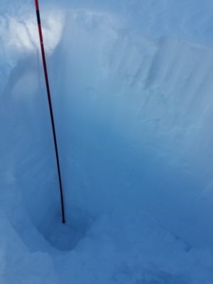 Snowpit in western Smoky Mtns near 8500' on W-NW aspect. Total depth=180cm, Dec facets are at 50cm. photo does not show snowpack all the way to the ground. 