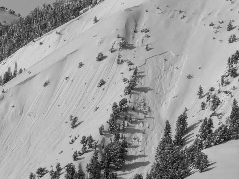 Slab avalanche that failed near the mouth of Smiley Ck on a ENE-facing slope near 9,000'. The crisp looking crown indicates that this slide occurred near the end of our recent storms. 