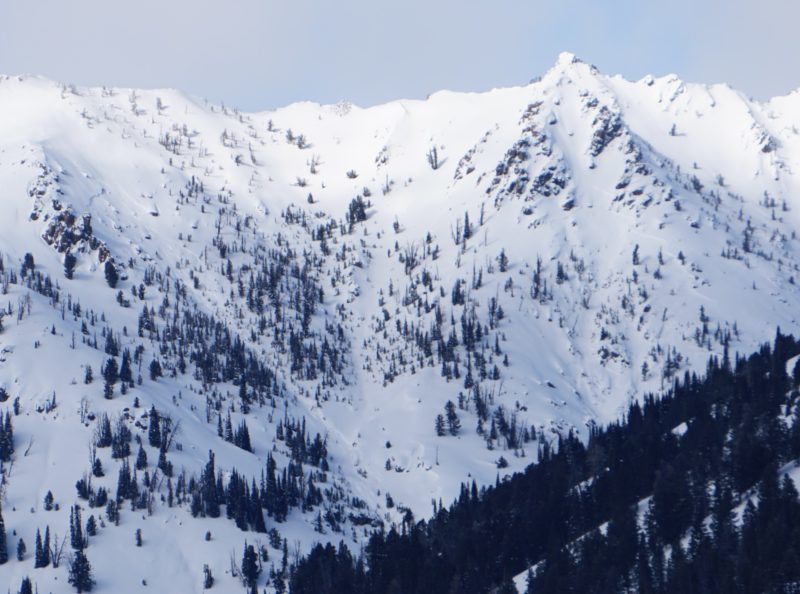 These 2 large slab avalanches released naturally during the strong NW wind event Monday or Tuesday in the Westernhome Gulch drainage (9650', S-SE). 