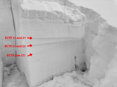 Persistent weak layers comprised of small facets produced repeatable propagating results in the upper 2' of the snowpack .