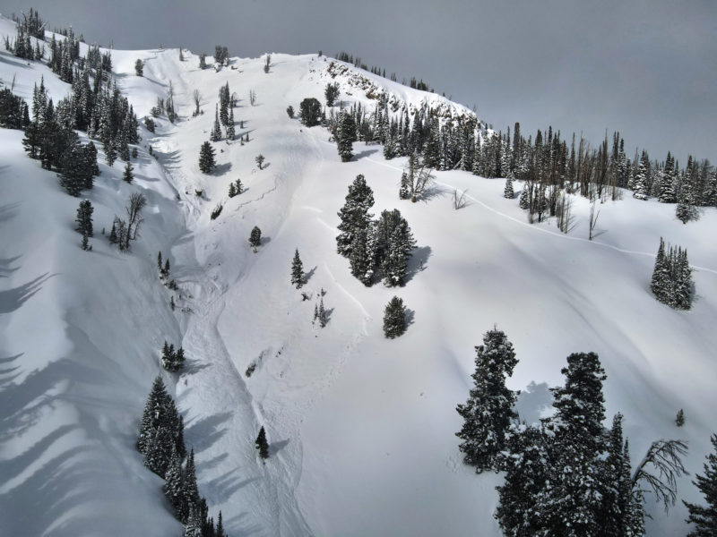 Photo of a very large triggered avalanche that resulted in a fatality on Friday, February 19th, near the head of Smiley Creek. The snowmobile track of the victim is visible in the center of the photo. The avalanche released on a south aspect at 9100'.