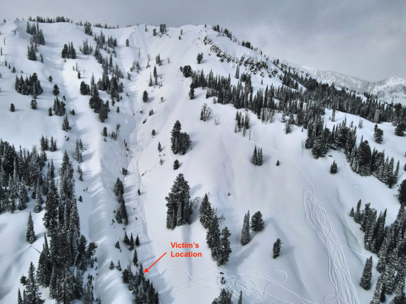 Photo of a very large triggered avalanche that resulted in a fatality on Friday, February 19th, near the head of Smiley Creek. The snowmobile track of the victim is visible in the center of the photo. The rider was carried downhill and found on the surface at the indicated location. The avalanche released on a south aspect at 9100'.