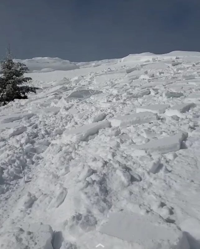 This wind slab avalanche was triggered by a rider NE of Wells Summit in the Soldier & Wood River Valley zone. The slide broke around 40' wide and carried the rider about 100 yards. A section of the cornice also released in the slide.
