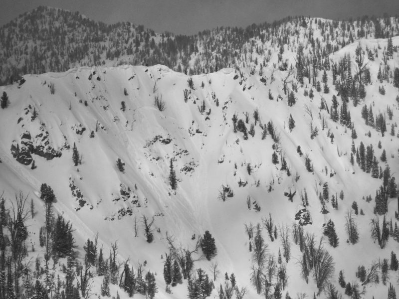 This large avalanche released several days ago in the Beaver Creek drainage near Smiley Creek. It broke over 120' wide in very steep, wind-loaded terrain. The depth and aspect (S) of the slide are consistent with a crust/facet layer buried about 3' deep. This same layer was responsible for a fatal avalanche in the Smiley Creek drainage on February 19th. 9300', S.
