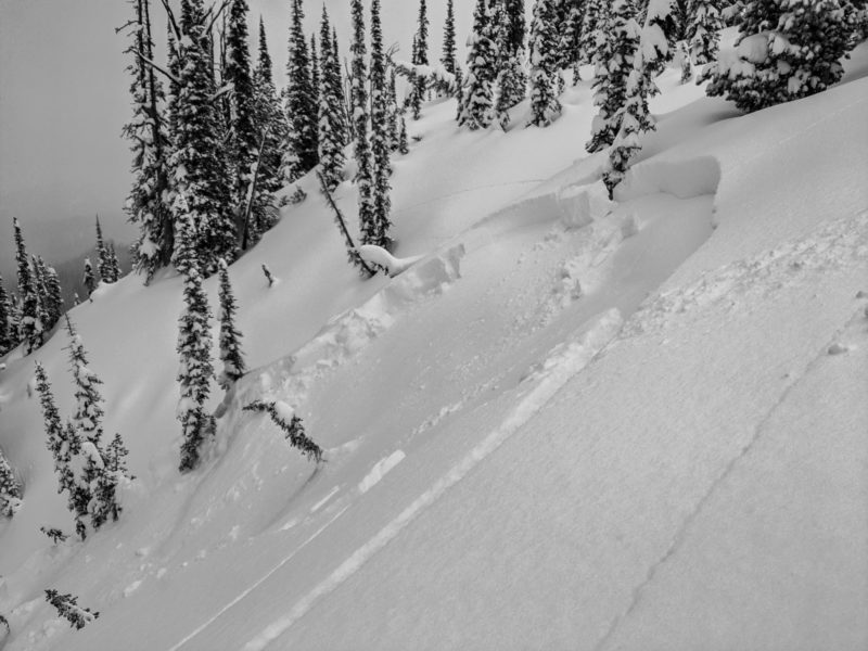 This avalanche failed 2' deep on buried surface hoar. This weak layer has presented itself as surface hoar in some areas and small facets in others. NE, 8400', Copper Mtn. Photo: Sawtooth Mountain Guides