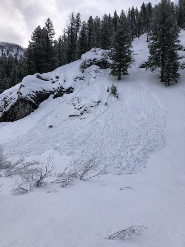 Low elevation wet loose avalanche on a shaded slope. Warm Springs Road west of Ketchum. 
