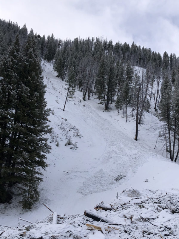 Wet loose avalanche on a shady slope along Warm Springs Rd. 