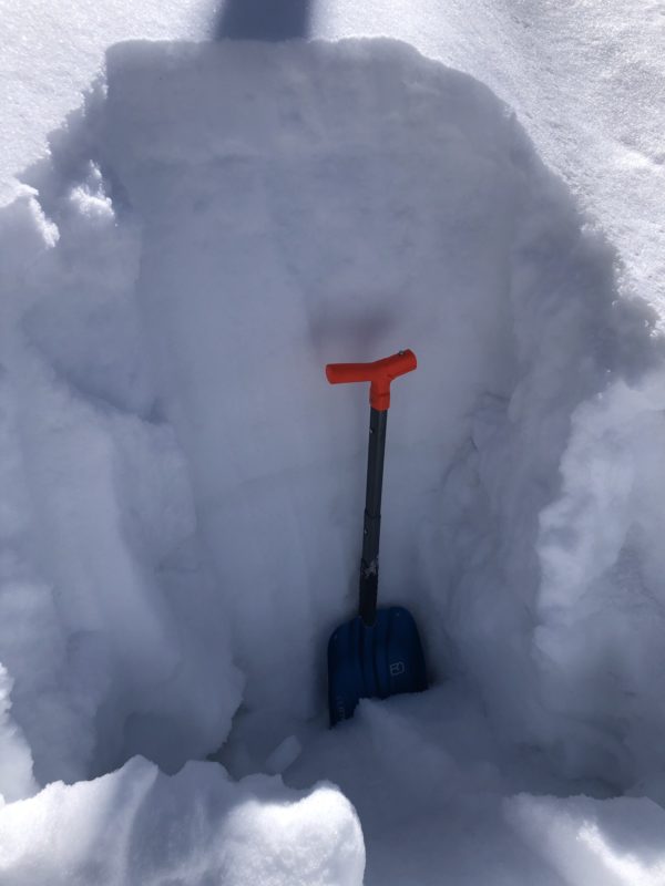 Percolation columns extend from the surface down to the obvious weak layer just below the handle of the shovel. The meltwater had re-frozen at this layer and had not penetrated deeper into the pack. HS = 130 cm, NNW at 8,500'.