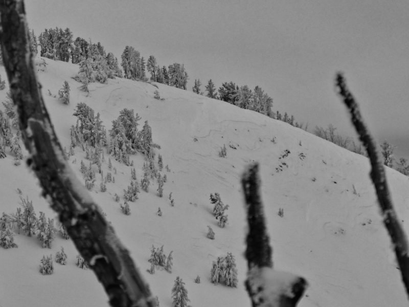 Thin avalanches breaking within the recent storm snow near Weather Station Peak out Titus Ridge.