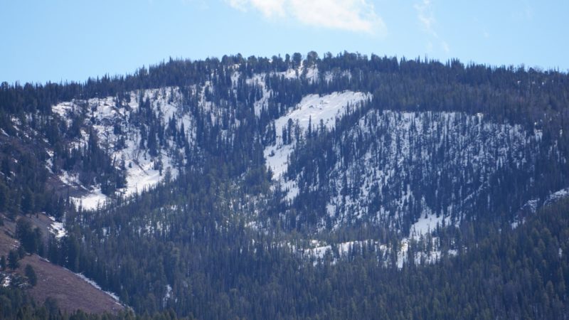 Early season snow cover on W-N aspects in the first bowl ascending Titus Ridge from Galena Summit on the Salmon River side ("Timber Bowl").