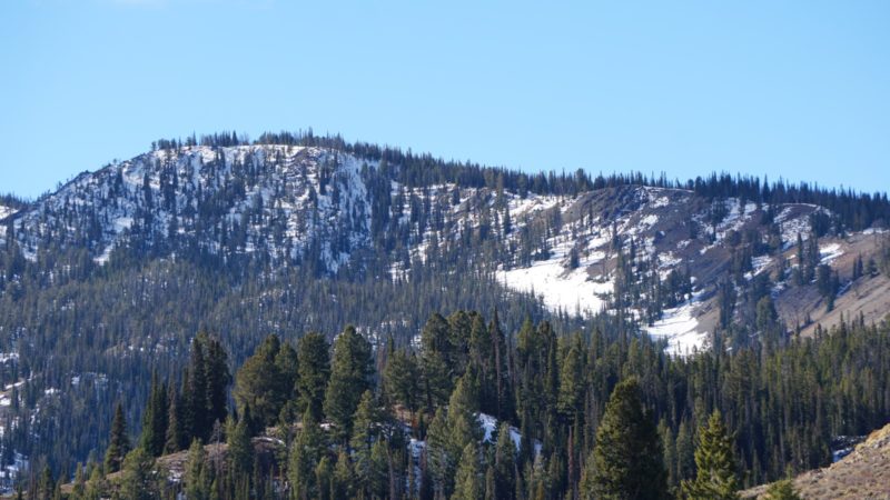 Early season snow cover on E-N aspects on Titus Ridge on the "1st Bump" above Galena Summit.