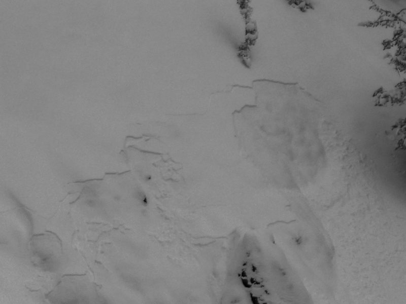 Thin avalanches breaking within the recent storm snow near on Titus Ridge.