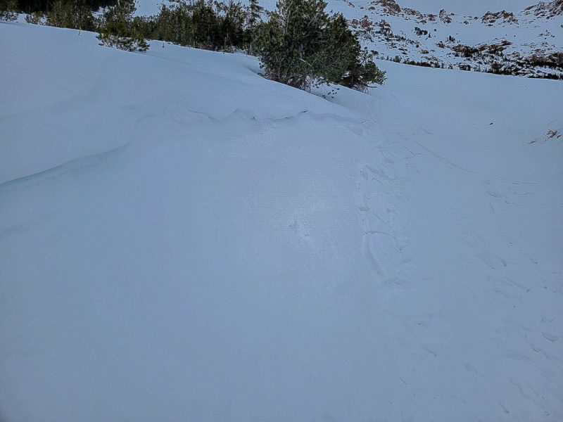 This small wind slab was triggered by a skier in the Pioneer Mtns on a NW aspect at 9600' on Phi Kappa Mountain.  