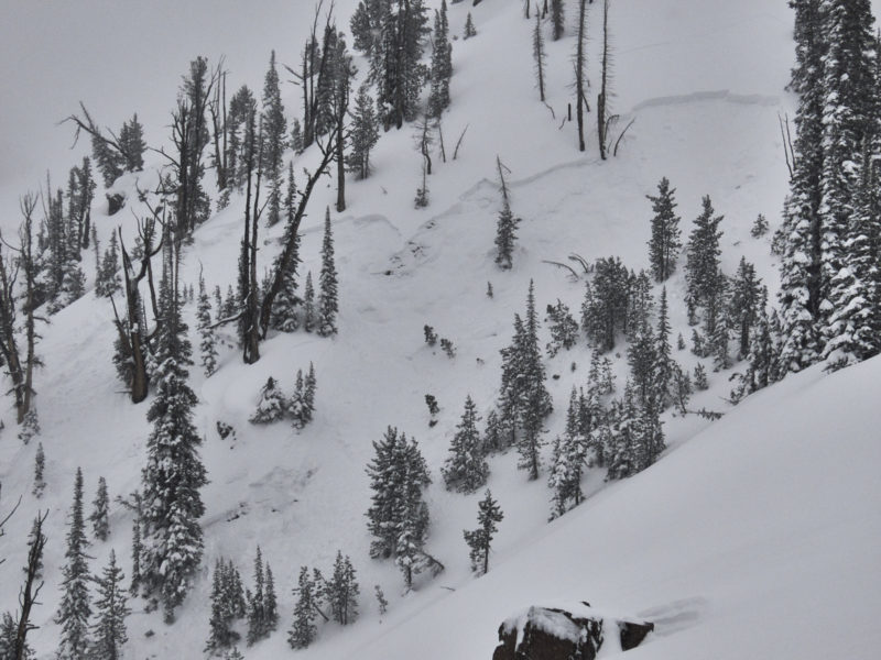 This is one portion of the crown of a large avalanche that was remotely triggered from many hundreds of feet away.