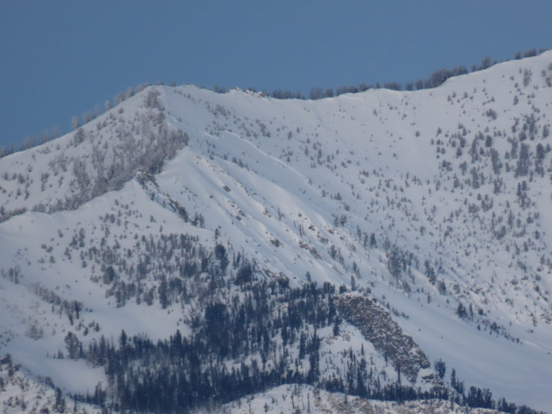 Crown of a large avalanche that failed near the tail end of the big storm on a north-facing slope at 9,400'. This slope is in the Cabin Creek drainage in the southern Sawtooths, north of Alturas. The crown is an estimated 300+' wide. Another slide that failed earlier in the storm is also visible near the ridgeline further right of the obvious crown. 