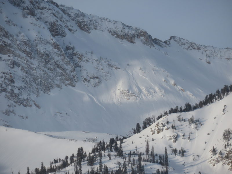 Large natural avalanches in the bowl north of Williams Peak in the Sawtooths. NE-aspect at 9,600'.