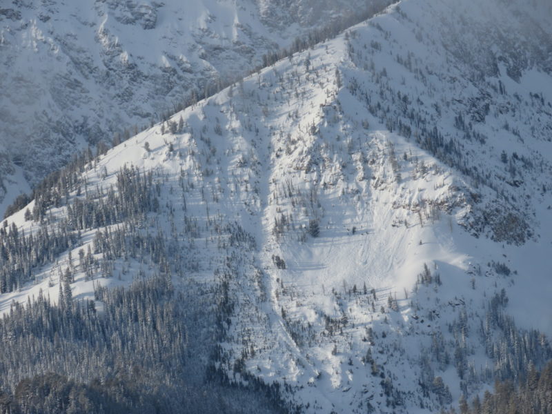 Very large natural avalanche on "Marshall Slide" in the Sawtooths, on the shoulder of Williams Peak, above the Marshall drainage. This avalanche appears to have failed in the October facets. NE-aspect at 9,000'.