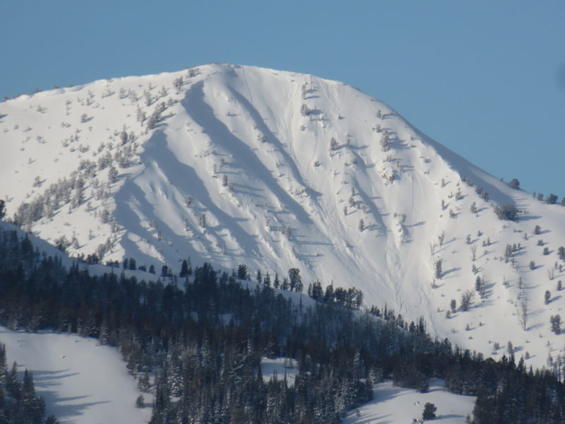 Very large set of natural avalanches on Eureka Peak, above Beaver Creek in the Western Smokys. NE/E-aspect at 9,900'.