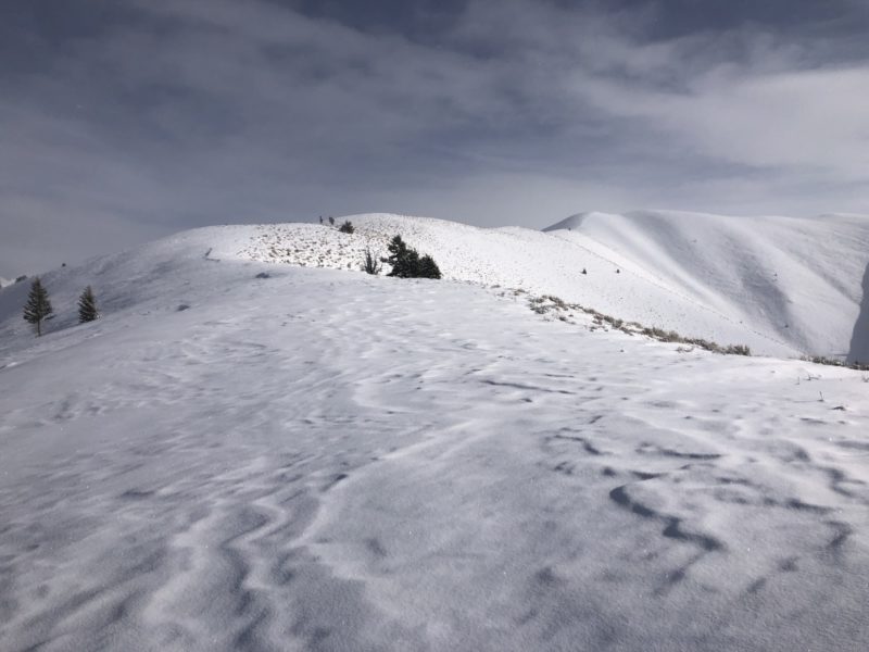 Snow coverage on morgan ridge