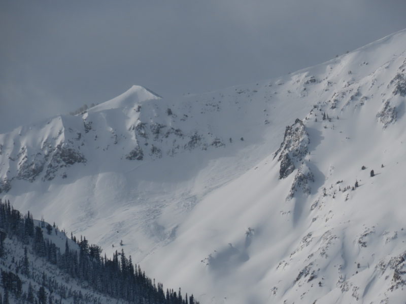 Large natural avalanche south of Saviers Peak at the head of Owl Creek. E/NE aspect at 10,200'.