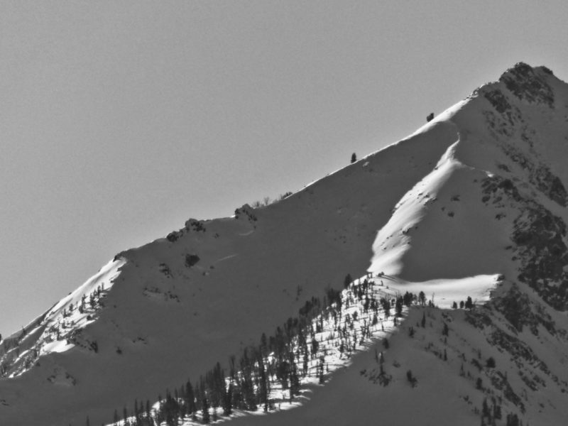 Avalanche on Imogene Peak.