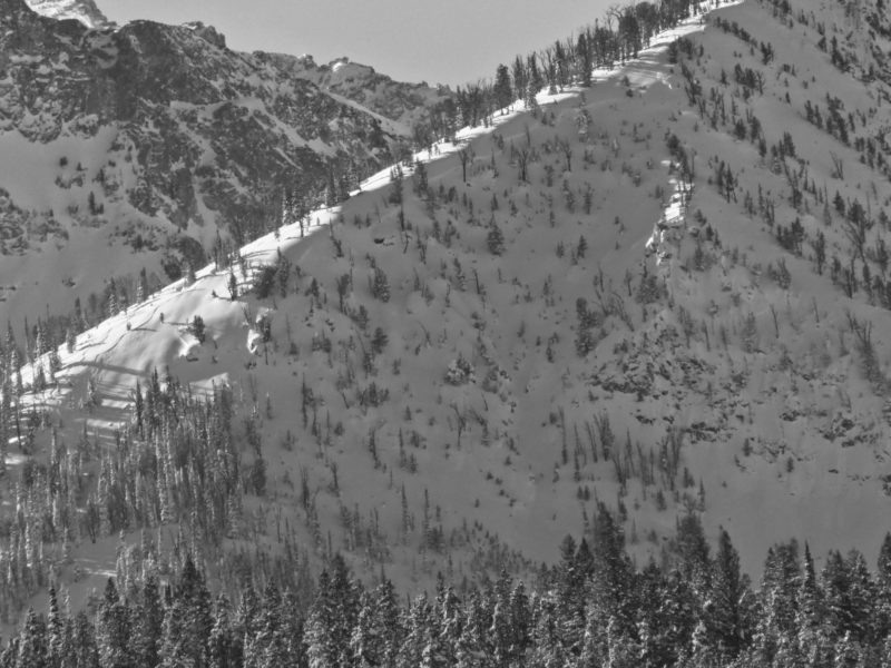 Natural avalanche that released in "Marshall Slide" near the Williams Peak hut, first observed on 12/24. It released on weak October snow near the ground. The age of this crown was used as a reference for other slides observed during clear weather on 1/1.