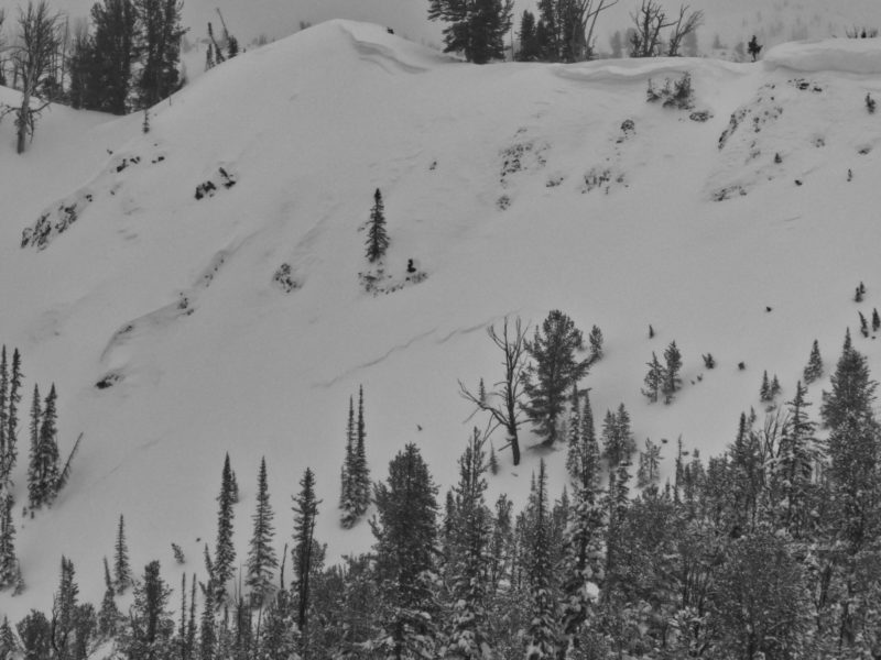 Storm slab avalanche near TItus Ridge that likely released as a result of intense snowfall and strong winds on Thursday (1/6).