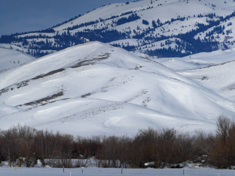 Small, natural wind slab avalanches on E-facing slopes in the Soldier Foothills. There were several of these that likely released during strong WSW-W-WNW wind on 1/6 or 1/7.