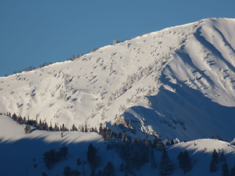 Recent large avalanche on Eureka Peak that appeared to fail on persistent grains in the upper portion of the snowpack, likely a crust with facets based on the aspect.