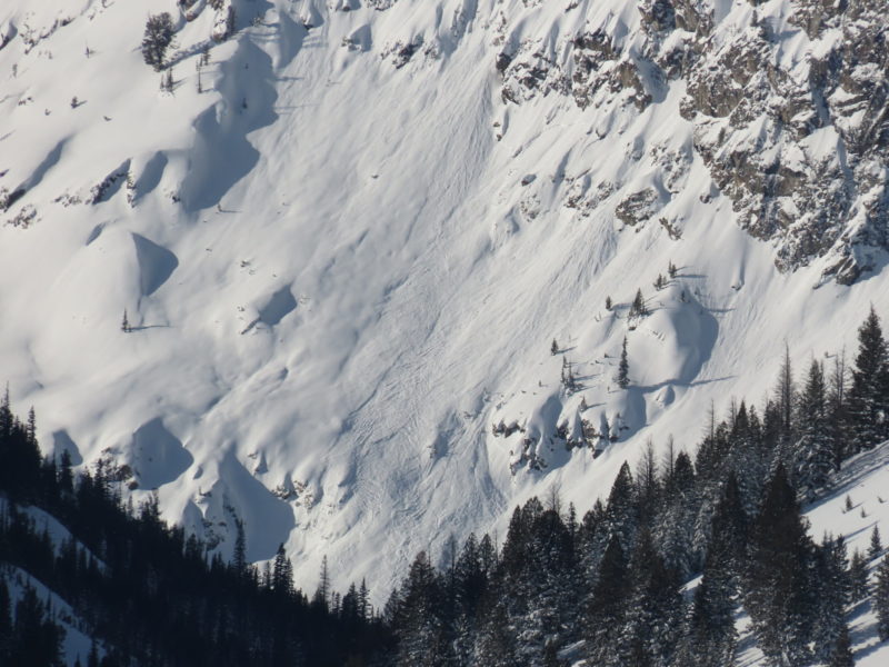 Recent loose snow and slab avalanches at the head of the Fishhook drainage. 
