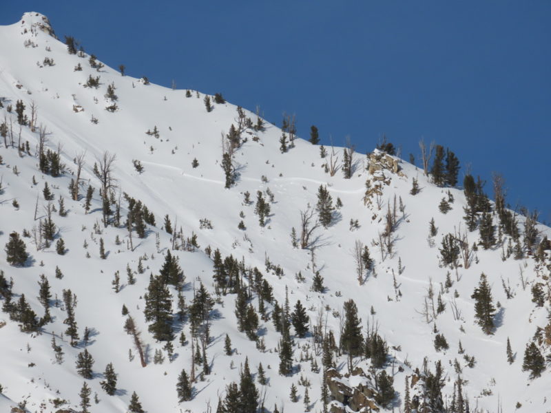 Crown of large avalanche that failed on a S-SE facing slope above the Fishhook drainage at the tail end of the recent storm.