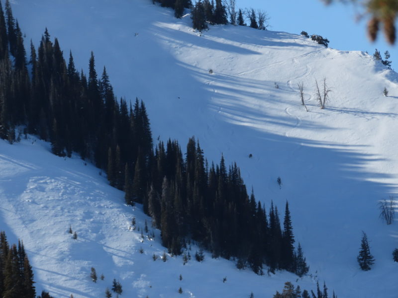 This slide failed on a N facing slope at 8,300' near the boundary between the Galena Summit and Soldier and Wood River Valley Forecast Zones.