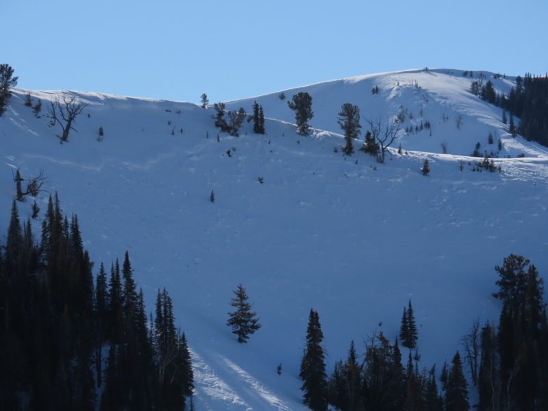 This slide failed on a N facing slope at 8,600' near the boundary between the Galena Summit and Soldier and Wood River Valley Forecast Zones.