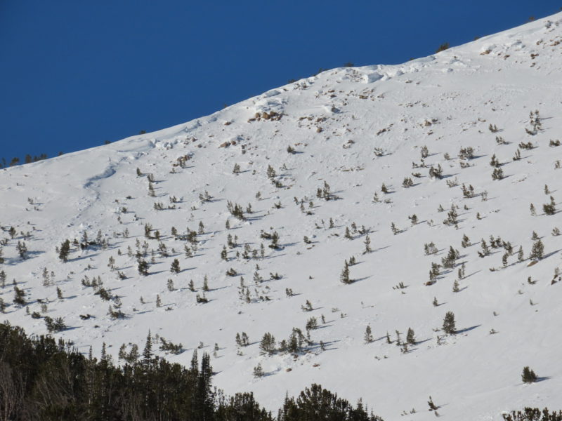 This large avalanche was observed on the E/SE face of Washington Peak in the White Cloud Mountains. It likely occurred at the tail of the of the last major storm cycle near the first week of January.