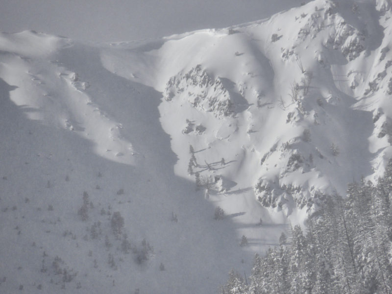 This avalanche in Prairie Creek occured sometime during or just after the Christmas storm. E/NE aspect at 9,500'.
