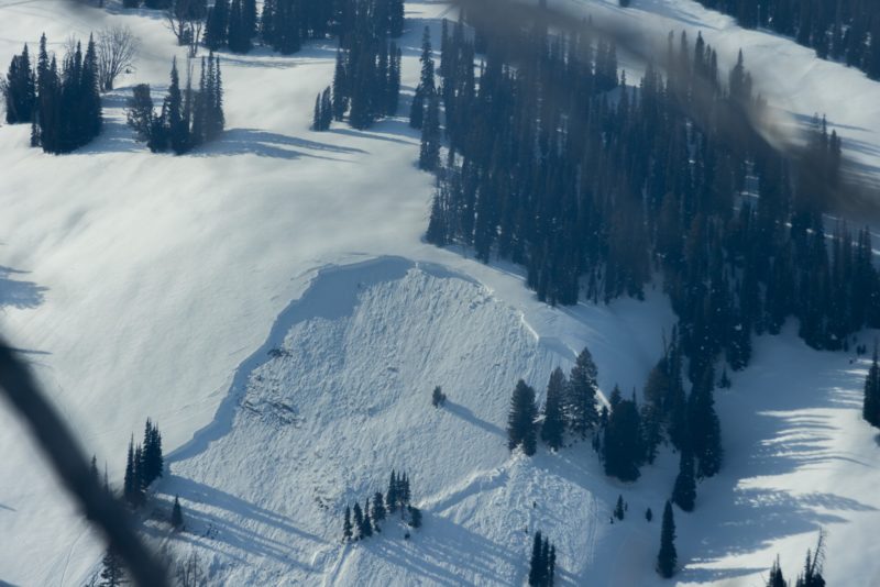 This large avalanche occurred to the W of the Beaver Creek divide. It appears to have released around the end of the storm that wrapped up on January 7th.

Photo: W. Caldwell

Photo: W. Caldwell