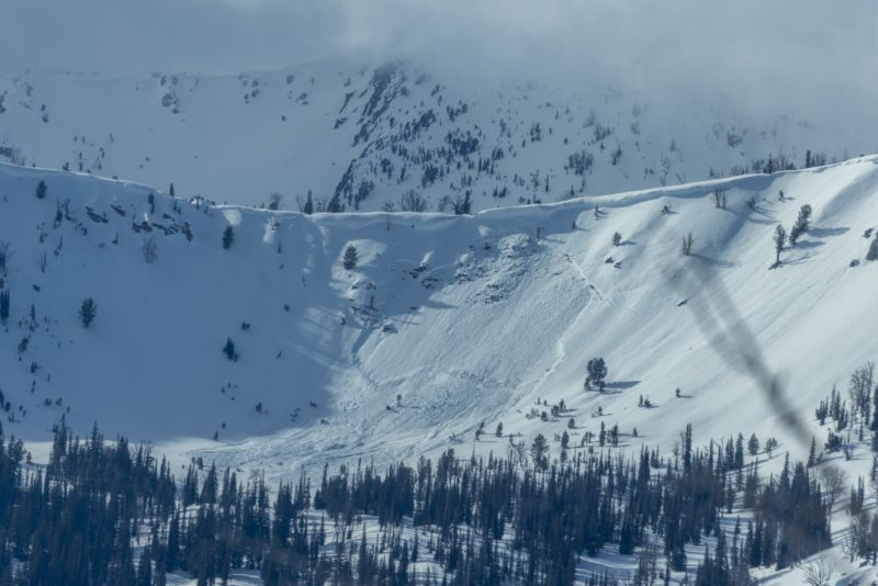 This large avalanche occurred to the W of the Beaver Creek divide. It appears to have released around the end of the storm that wrapped up on January 7th.

Photo: W. Caldwell