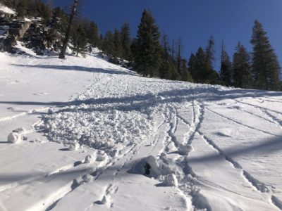 Small wet loose avalanche in the Soldiers that likely ran with warming temperatures on Wednesday, February 9th. W, 7200'.