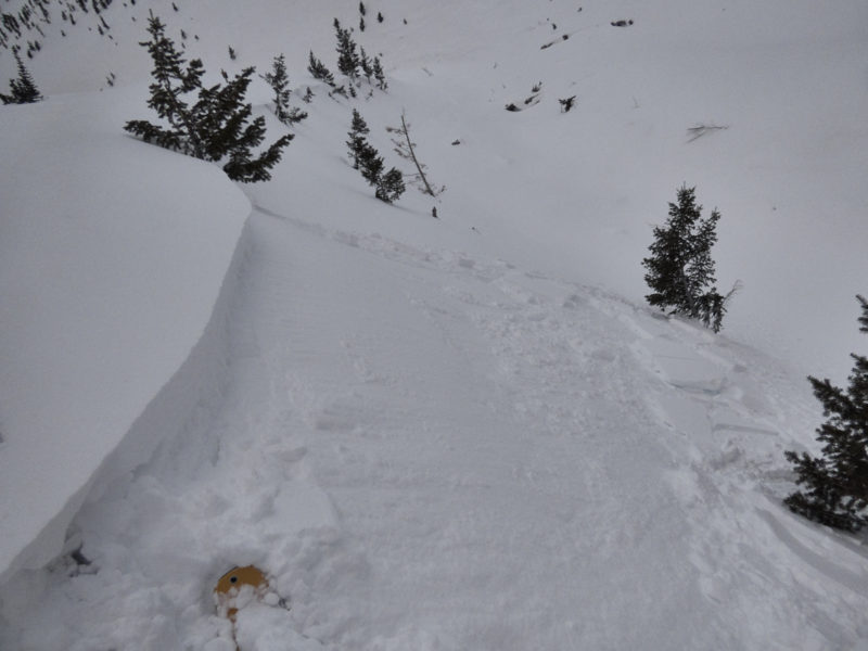 This small wind slab was intentionally triggered at 8,300 on the flanks of Galena Peak on January 31st.